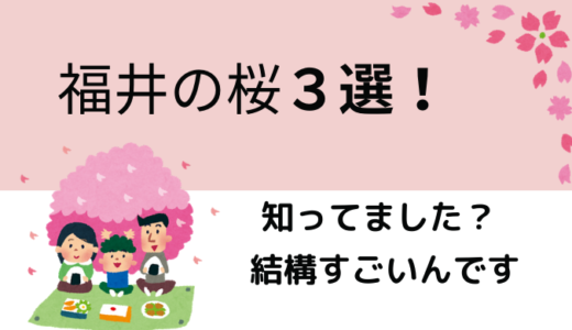 【花見】子供と楽しめる桜スポット！3選【福井】